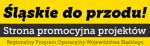 Cieszyn kontra Częstochowa - Turniej Europejski „Śląskie do przodu”